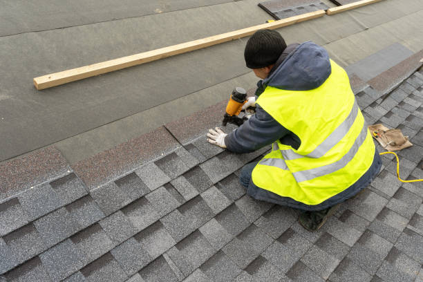 Best Roof Leak Repair  in Justice, IL