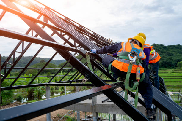 Best Local Roofing Companies  in Justice, IL