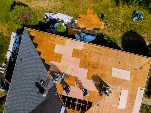 Best Metal Roofing Contractor  in Justice, IL