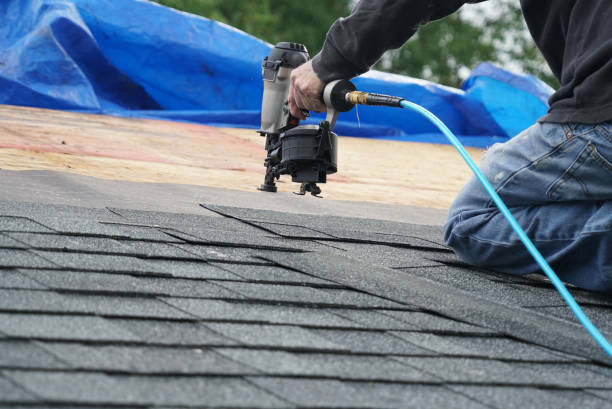 Best Roofing Contractor Near Me  in Justice, IL