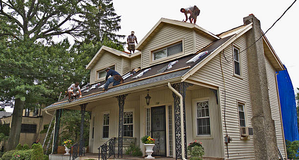Best Roof Gutter Cleaning  in Justice, IL