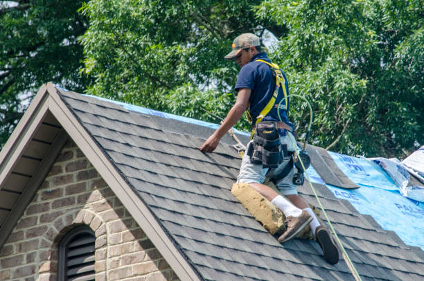 Best Roof Leak Repair  in Justice, IL